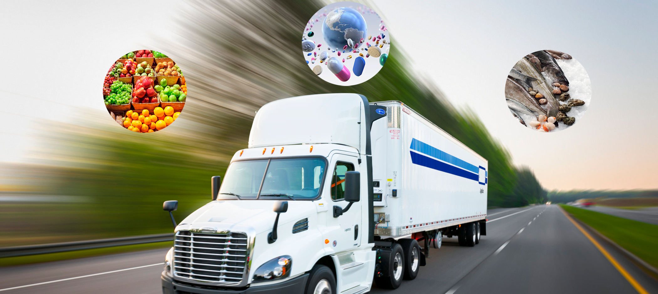 cold chain monitoring system